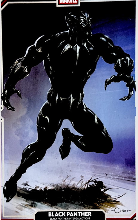 Black Panther: Intergalactic #2 cover